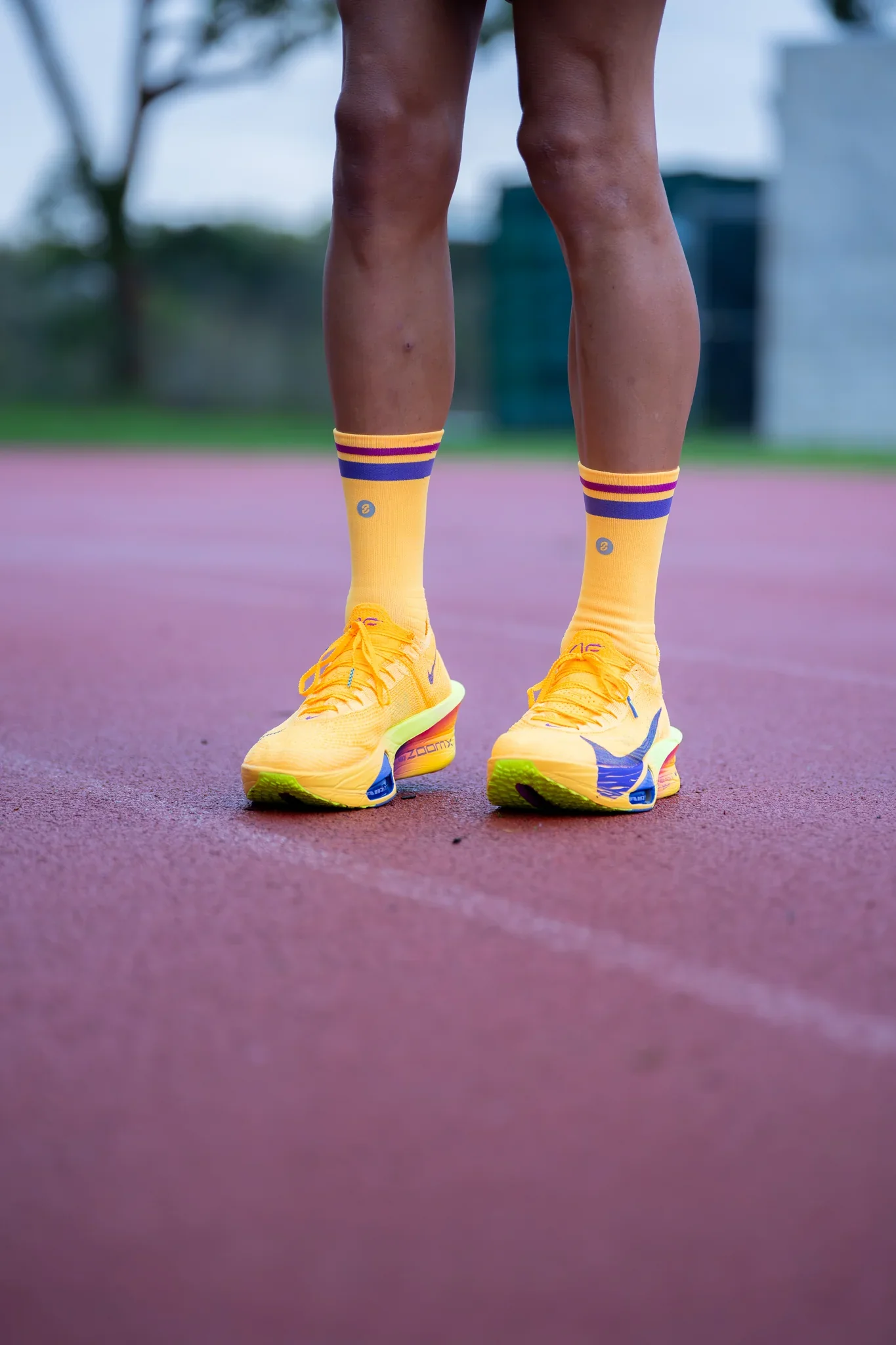 SHYU Racing Half Crew Socks - Amber/Eggplant/Claret - Image 3
